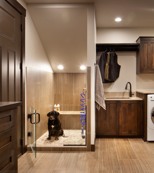 A dog shower in a laundry room, Cornelus 