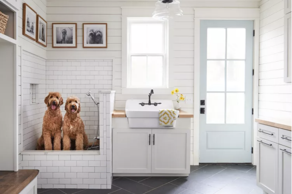 Two goldendoodles wait for their shower or bath in a mudroom that was part of a design for pets 